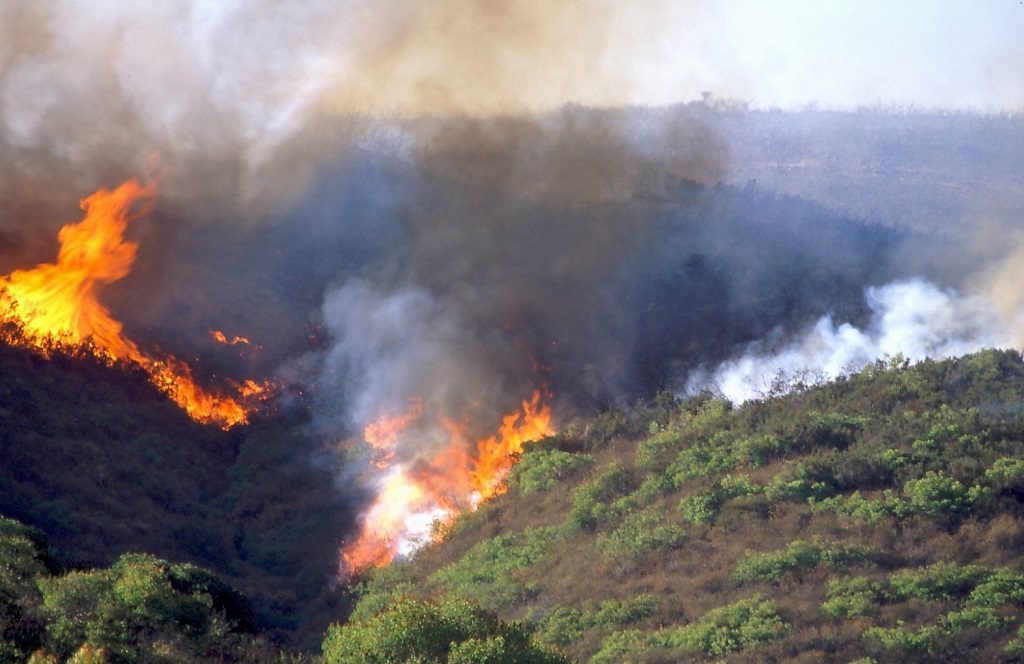 Med Res Rancho Pen Fire Canyon III