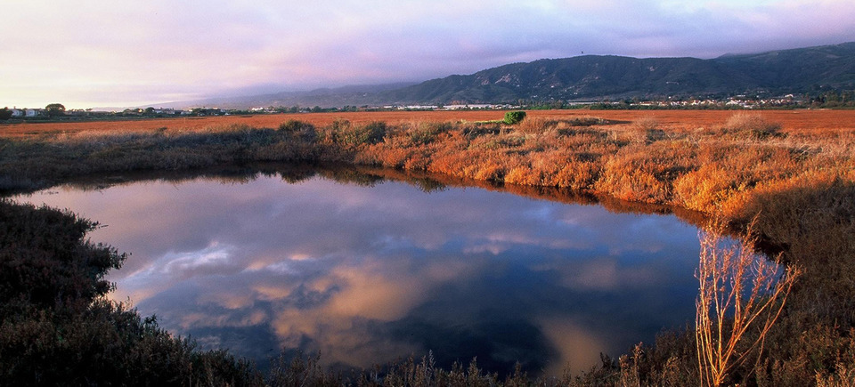 Marsh At Sunset